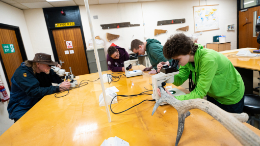 Image of students using equipment in an archaeology laboratory