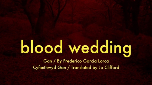 A Poster of the Blood Wedding Production 
