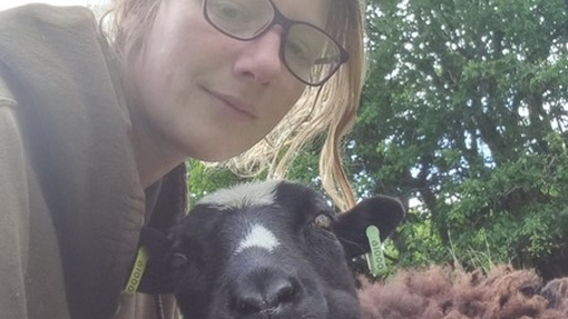 Deborah Mercer and sheep