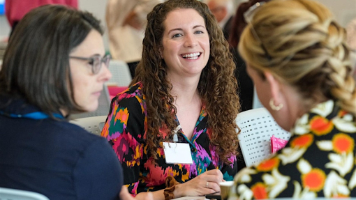 Professional Practice Framework