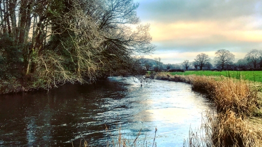 Photo of the river Teifi with a field on the right and trees ion the left