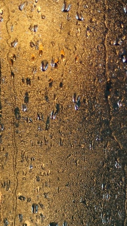 Yellow lights shining through rain drops on glass. 