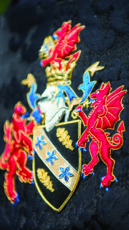 Back of graduation gown showing University crest