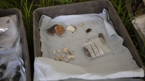 In a small box lays excavated items like different types of rocks and stone that the archaeological experts have found.