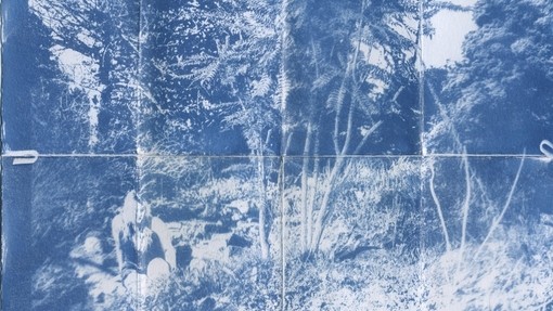 Cyanotype o ddynes yn eistedd mewn llystyfiant ffrwythlon; mae popeth mewn arlliwiau glas sy’n tueddu i droi’n wyn tua’r blaendir.