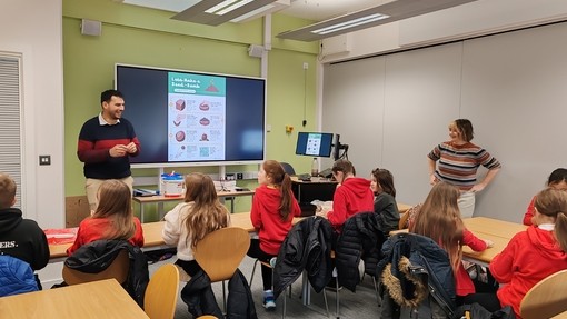 Interactive lesson about bees