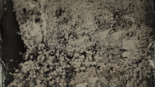 An example of the work being displayed at the exhibition