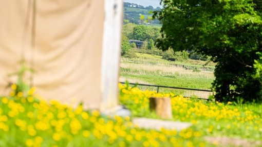 Cynefin wellbeing centre
