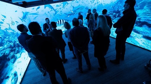 Immersive room