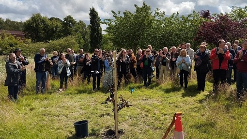 people gathered on grass facing a newly planted tree
