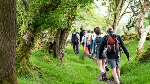 Outdoors cynefin walk
