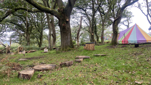 A colourful tipi in a forest and tree trunk stepping stones