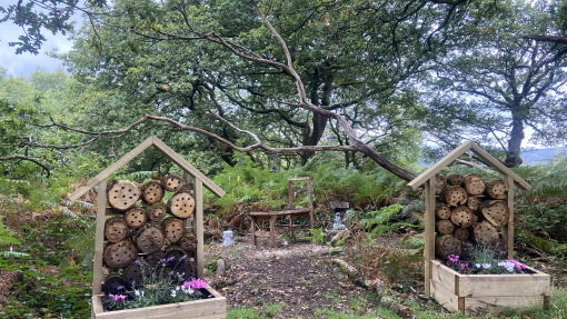bee hotels