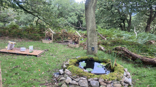 Small pond