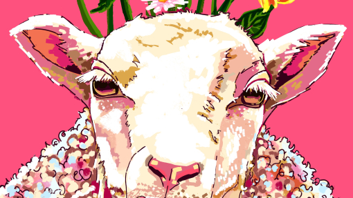 A colourful sheep mural illustrated with flower and bright colours.