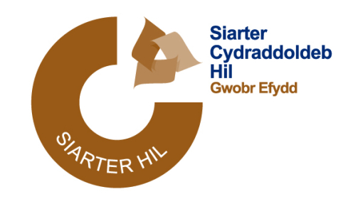 Logo Gwobr Efydd Siarter Cydraddoldeb Hil