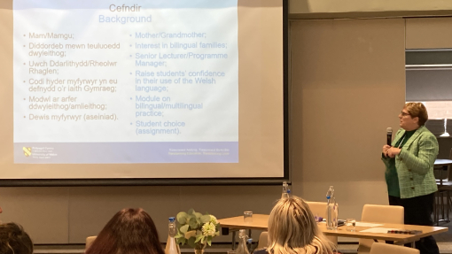 Image of Alison lecturing in front of a crowd
