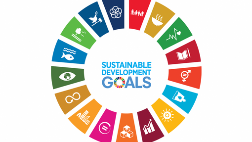 Wheel of Sustainable Development Goals 