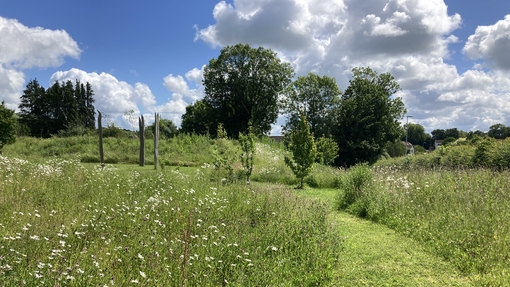 Green field with pathway showing Wellbeing Walk