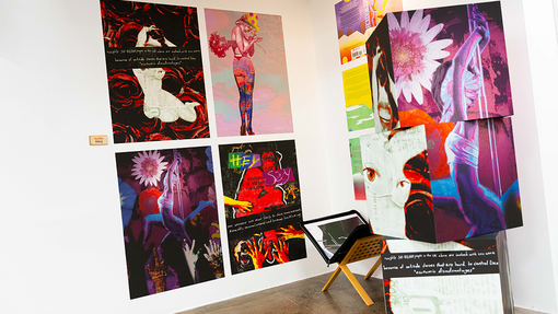 Exhibition Gallery Display