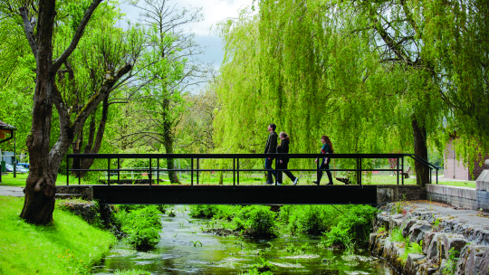 Students walking across bridge surrounded by green trees