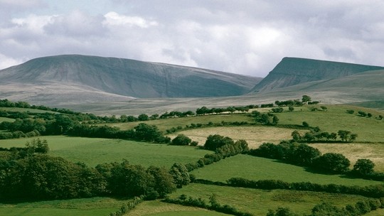 Landscape view of fields