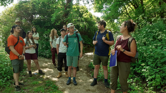 Bespoke Nature Walks