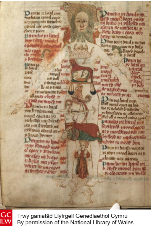 The photograph shows the ‘Zodiac Man’ from Gutun Owain’s best-known manuscript, NLW MS 3026C