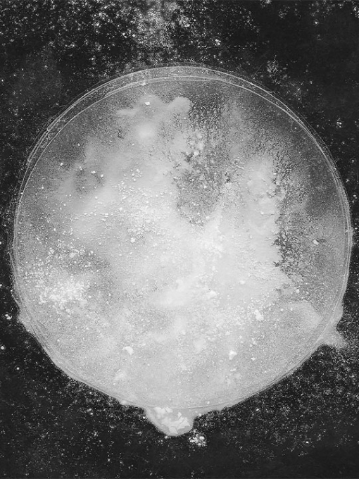 black and white image of a white circle with paint splats on a dark background