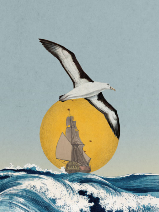 illustration of a seagull with a boat