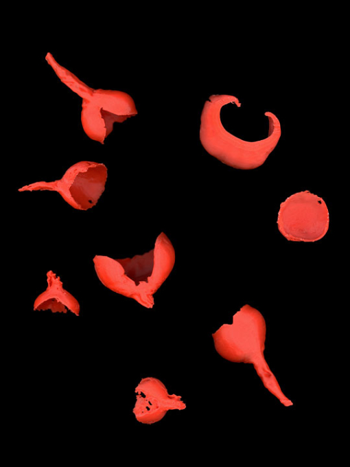 red shapes on a black background