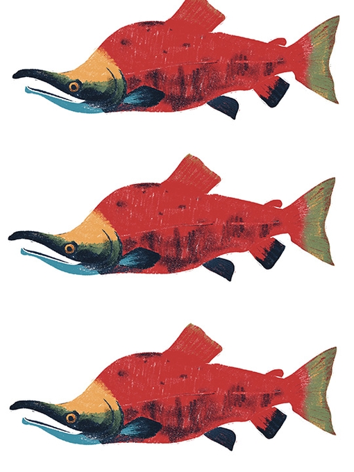 Decretive image
