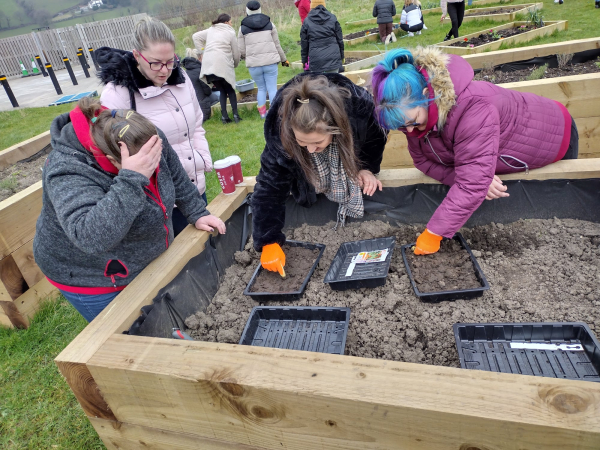 Early Years gardening