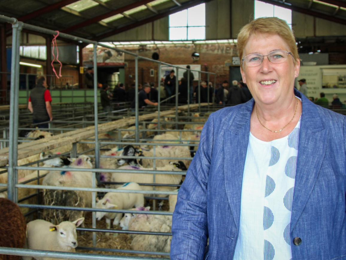 Woman standing in front of sheep