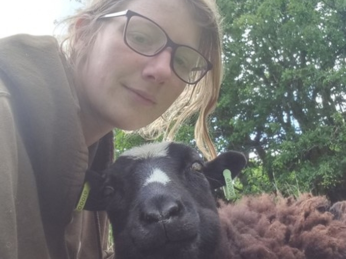 Deborah Mercer and sheep