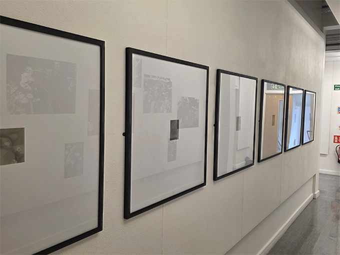 white wall with black frames with fabric inside