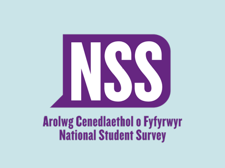 NSS Survey