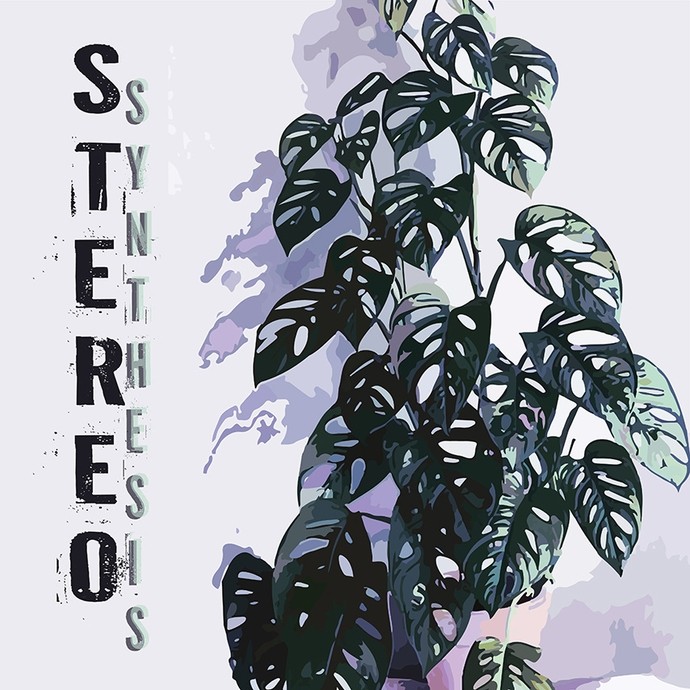 Illustration of a Swiss Cheese Plant leaving violet shadows on the wall; vertical text reads Stereo Synthesis.
