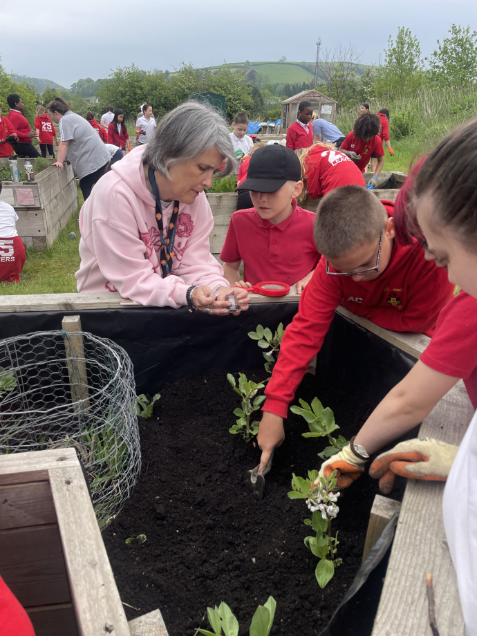Glenda Tinney and pupils in a gardening workshop