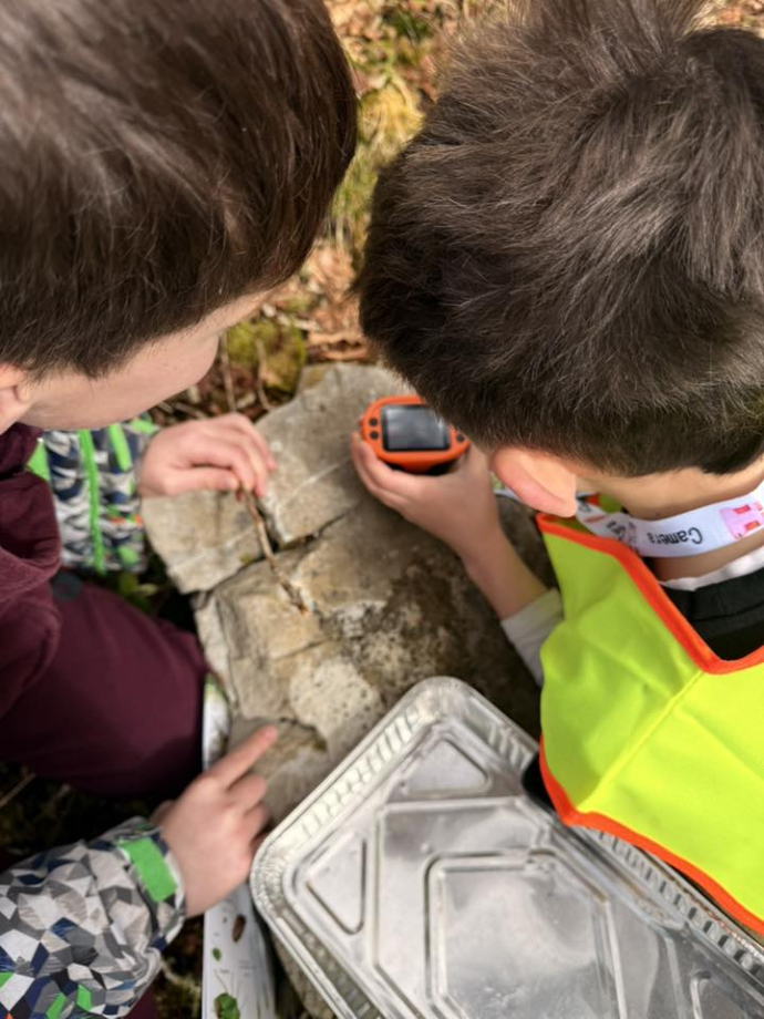 Children using microscope at Friends of the Forest
