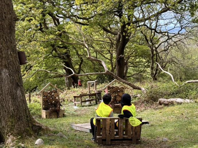 Children sitting in a forest near bug hotels