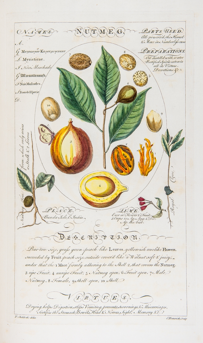 Image of Sheldrake Nutmeg page