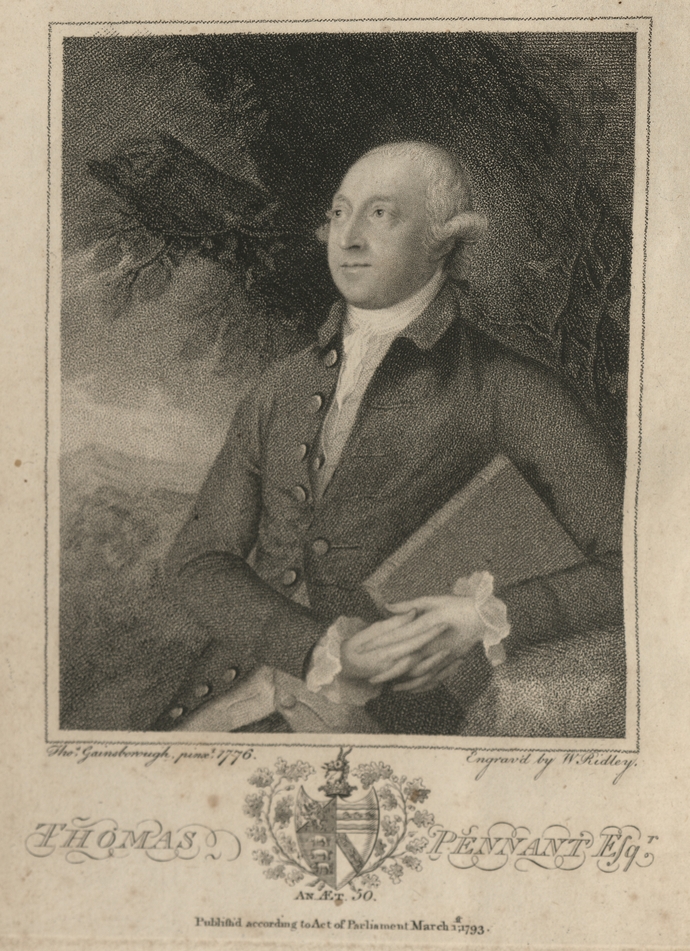 Portrait of Thomas Pennant