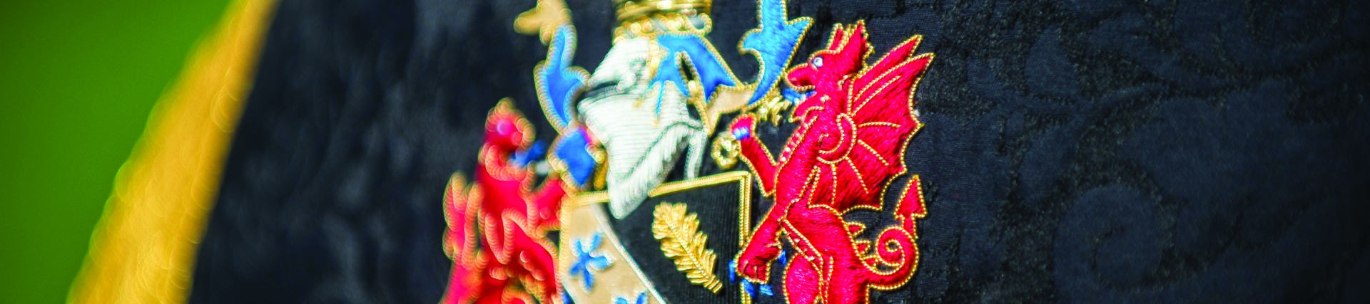 Back of graduation gown showing University crest