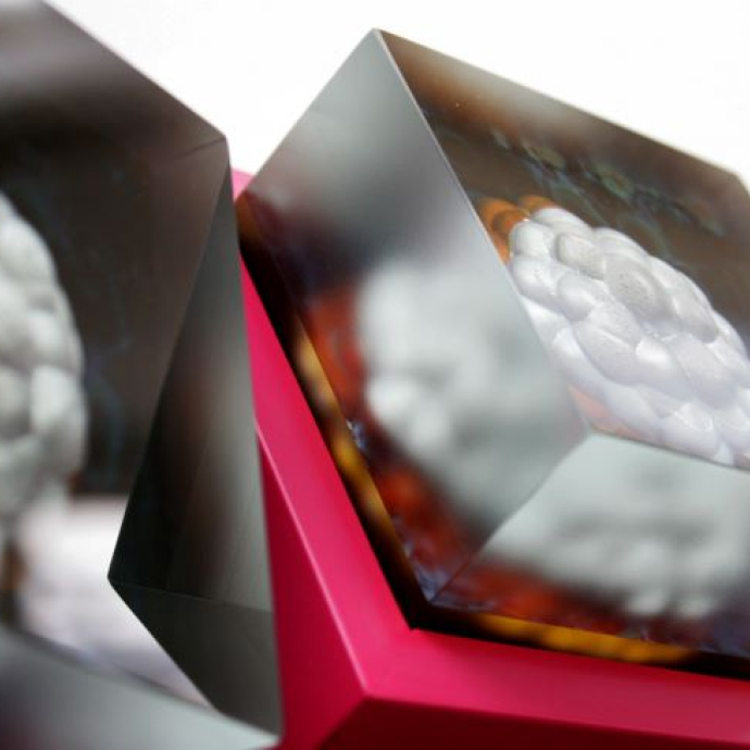 A close up of the exhibition.