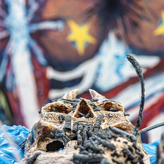 skull on a table 