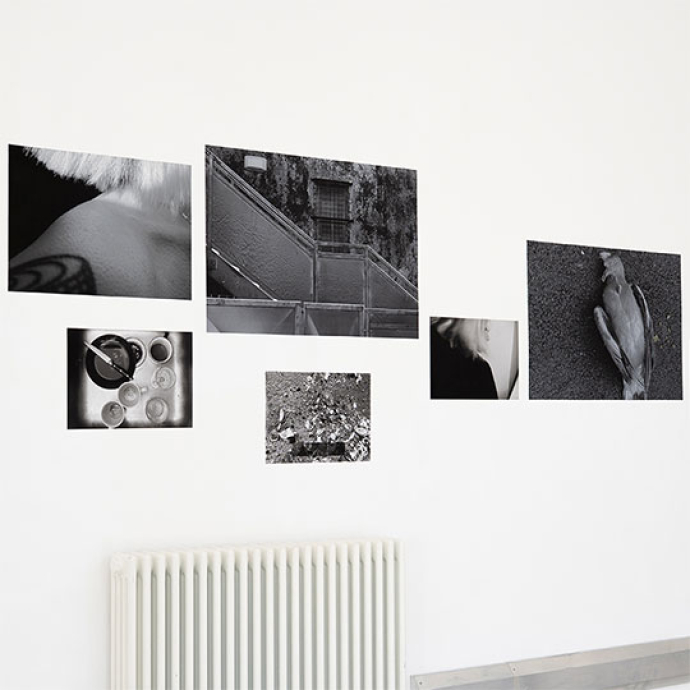 art and design of images on a wall